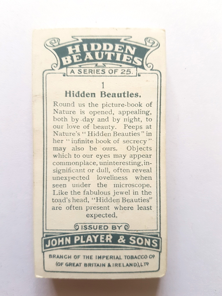 Photo of the back of these Hidden Beauties cigarette cards