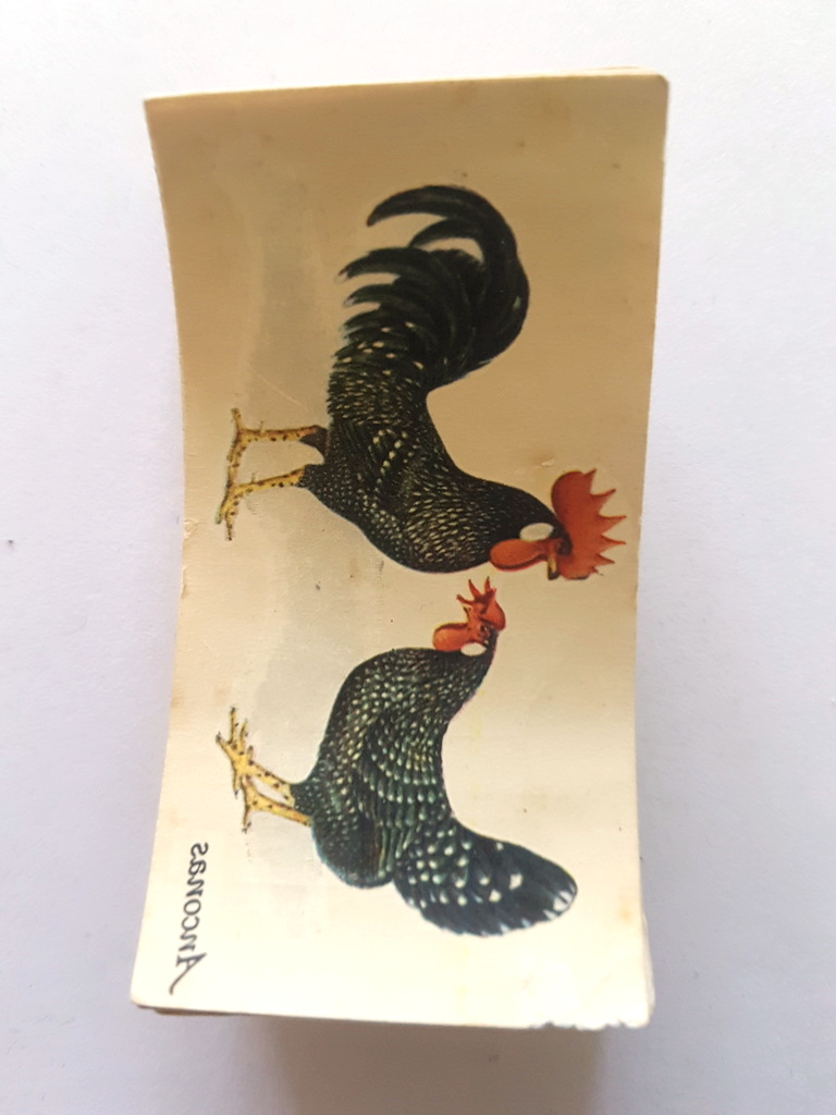 Photo of the front of these Poultry (transfers) cigarette cards