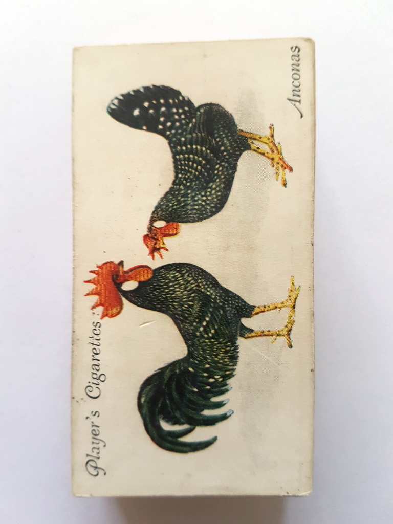 Photo of the front of these Poultry cigarette cards