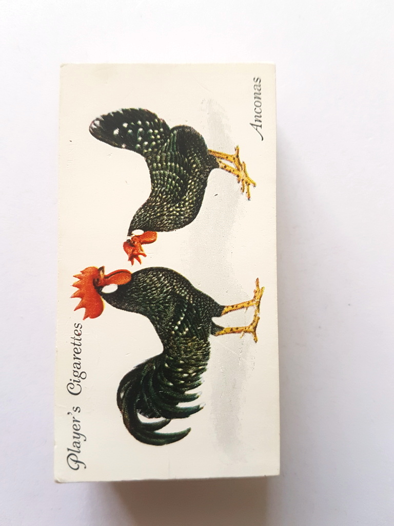 Photo of the front of these Poultry cigarette cards