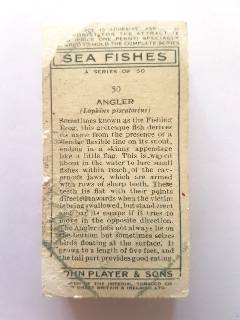 Photo of the back of these Sea Fishes cigarette cards