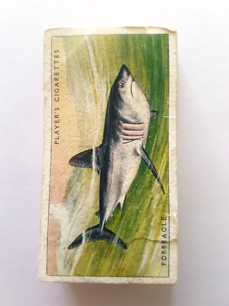 Photo of the front of these Sea Fishes cigarette cards