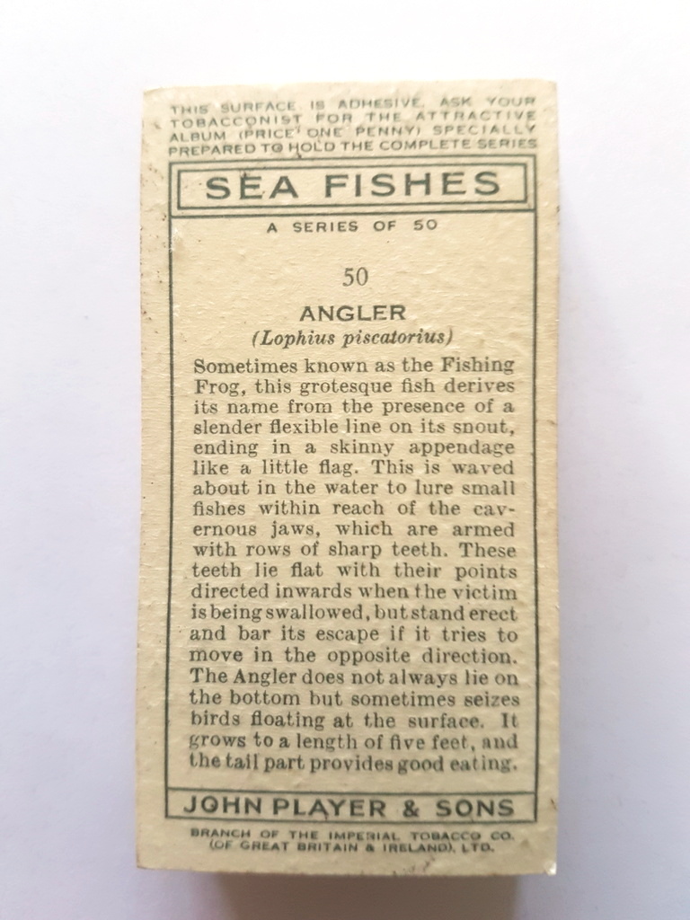 Photo of the back of these Sea Fishes cigarette cards