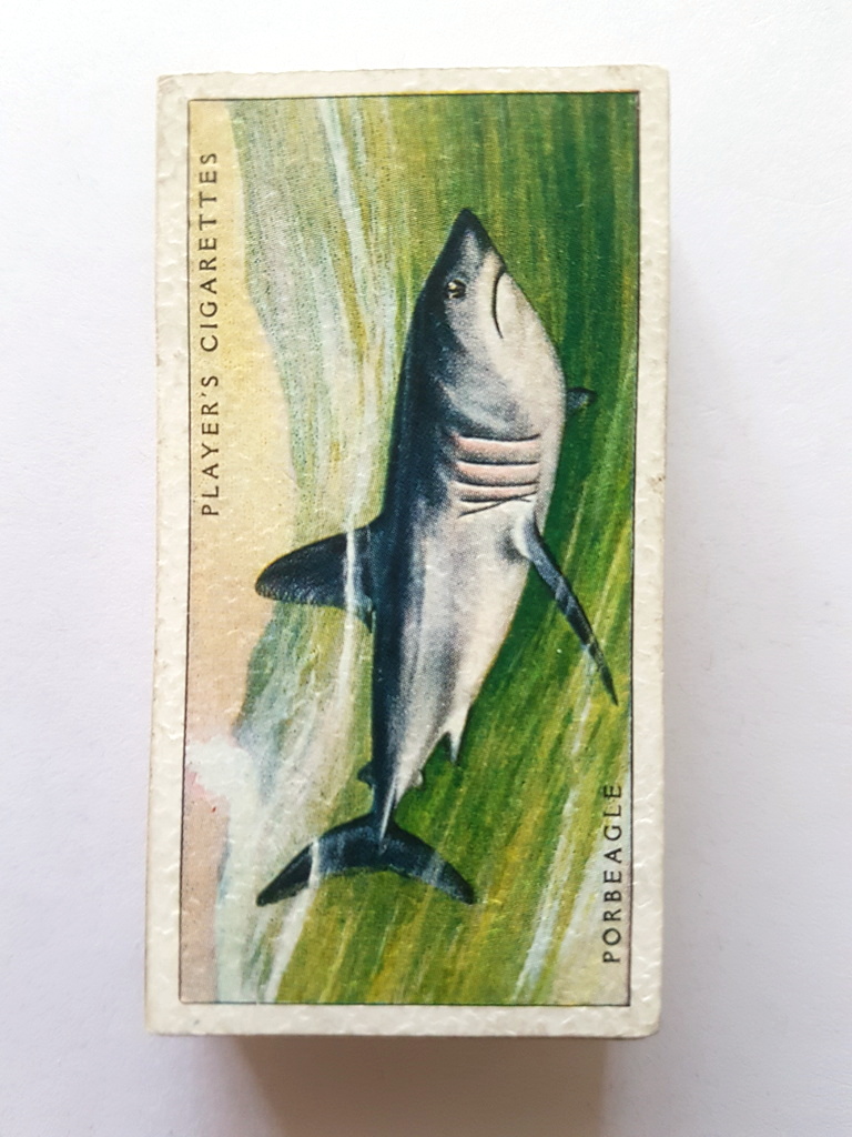 Photo of the front of these Sea Fishes cigarette cards