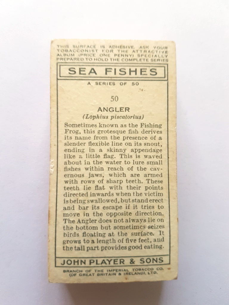 Photo of the back of these Sea Fishes cigarette cards