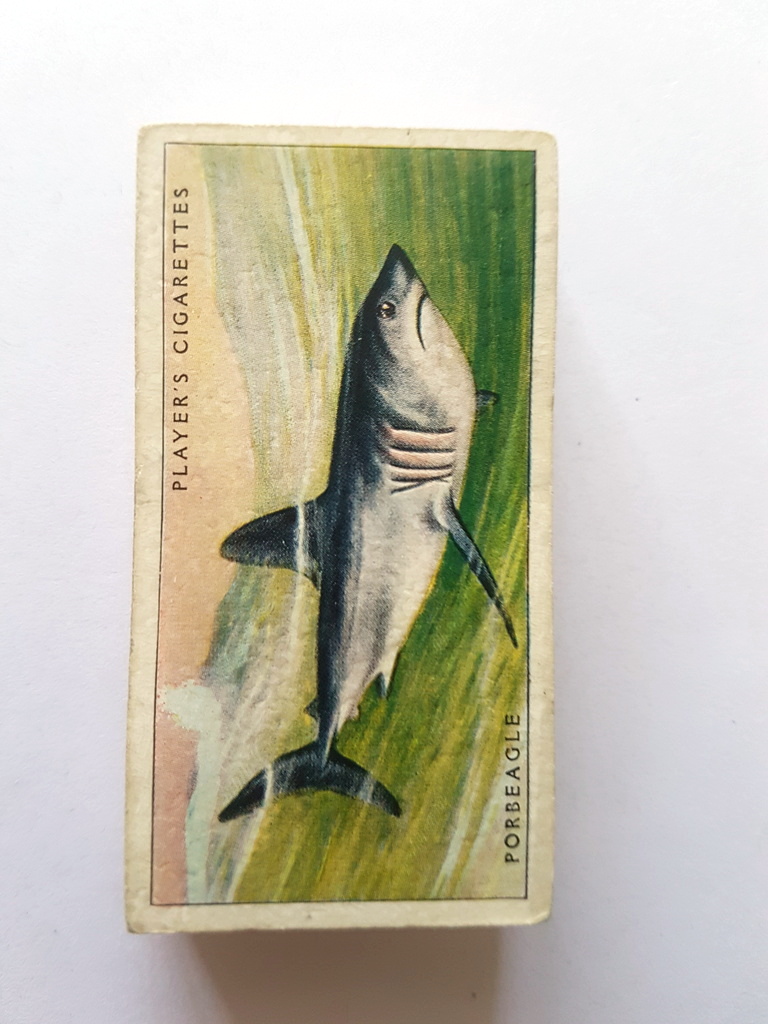 Photo of the front of these Sea Fishes cigarette cards