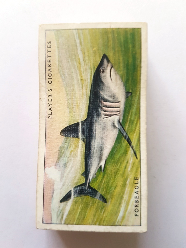 Photo of the front of these Sea Fishes cigarette cards