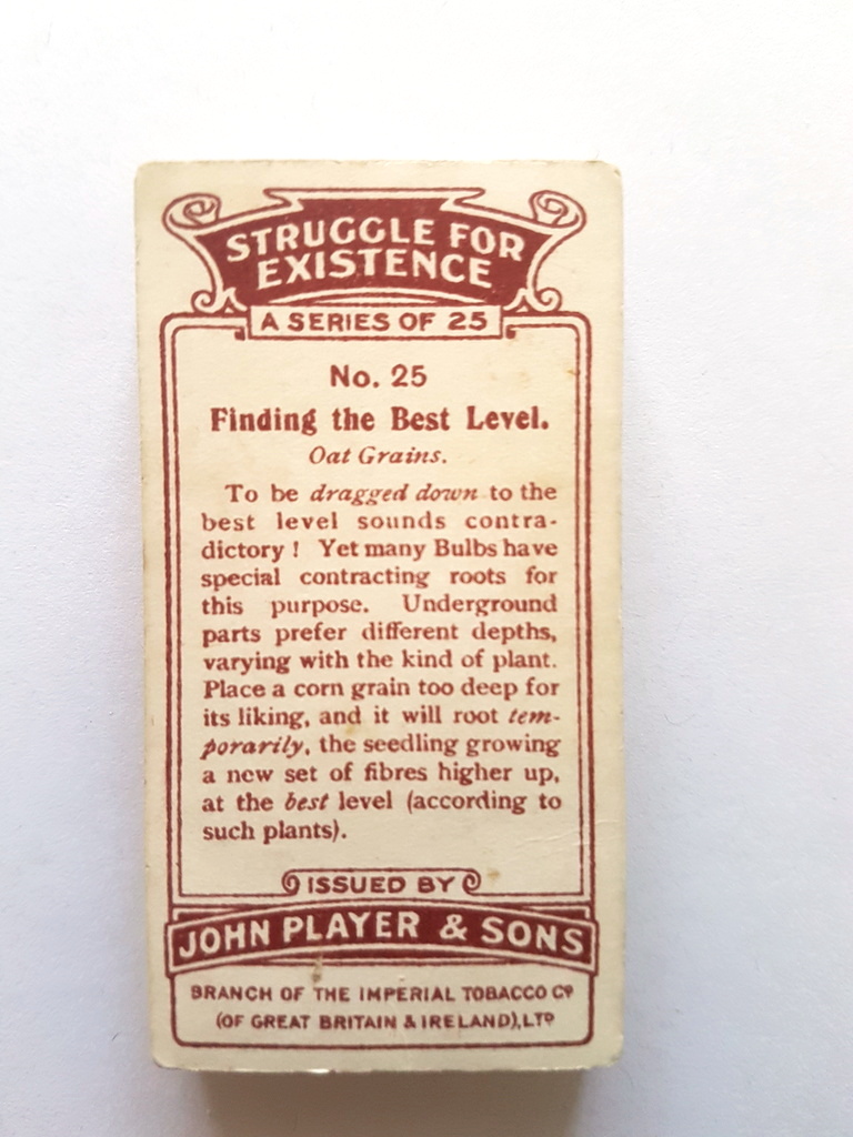 Photo of the back of these Struggle for Existence cigarette cards