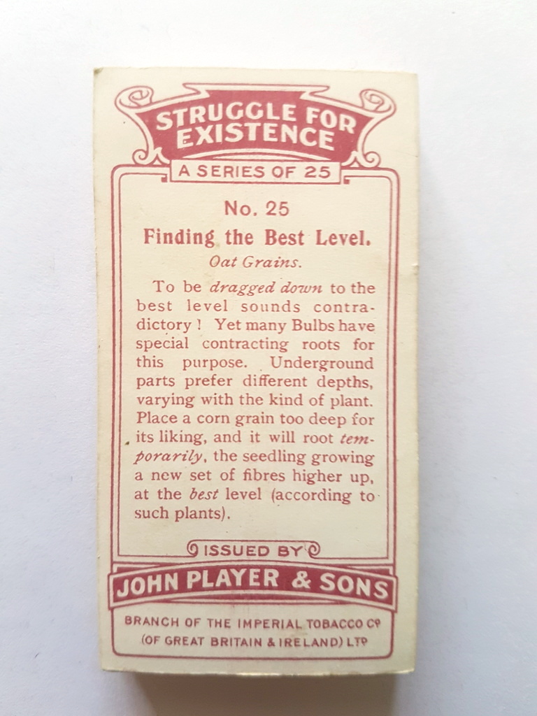 Photo of the back of these Struggle for Existence cigarette cards