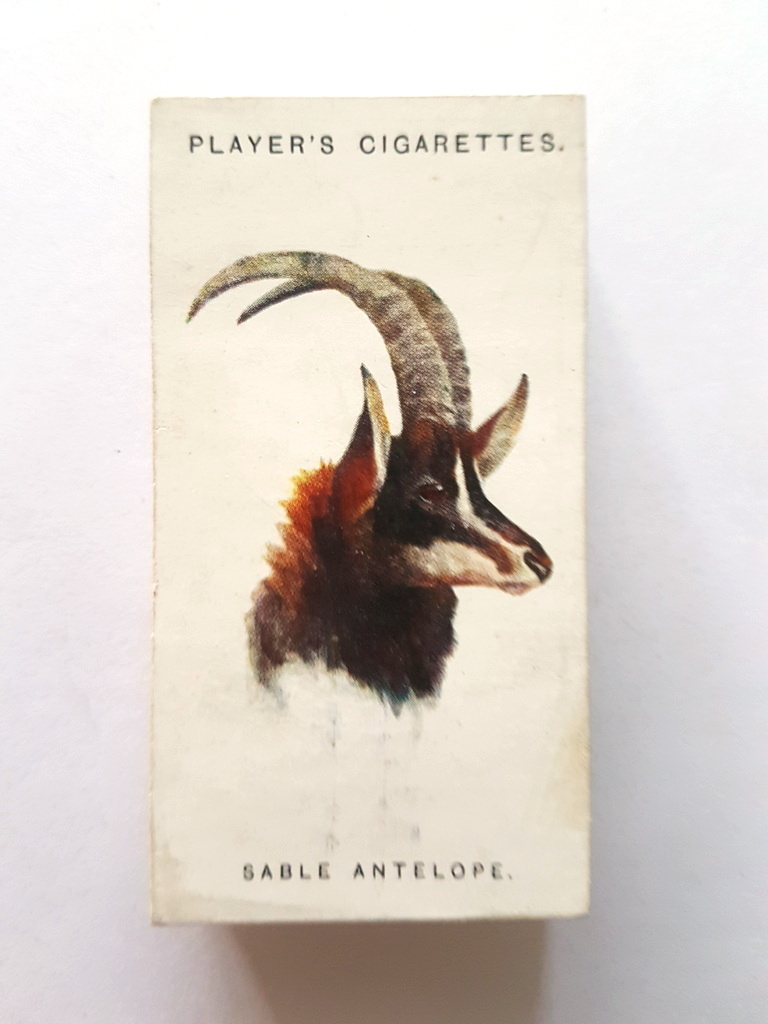 Photo of the front of these Wild Animals' Heads cigarette cards