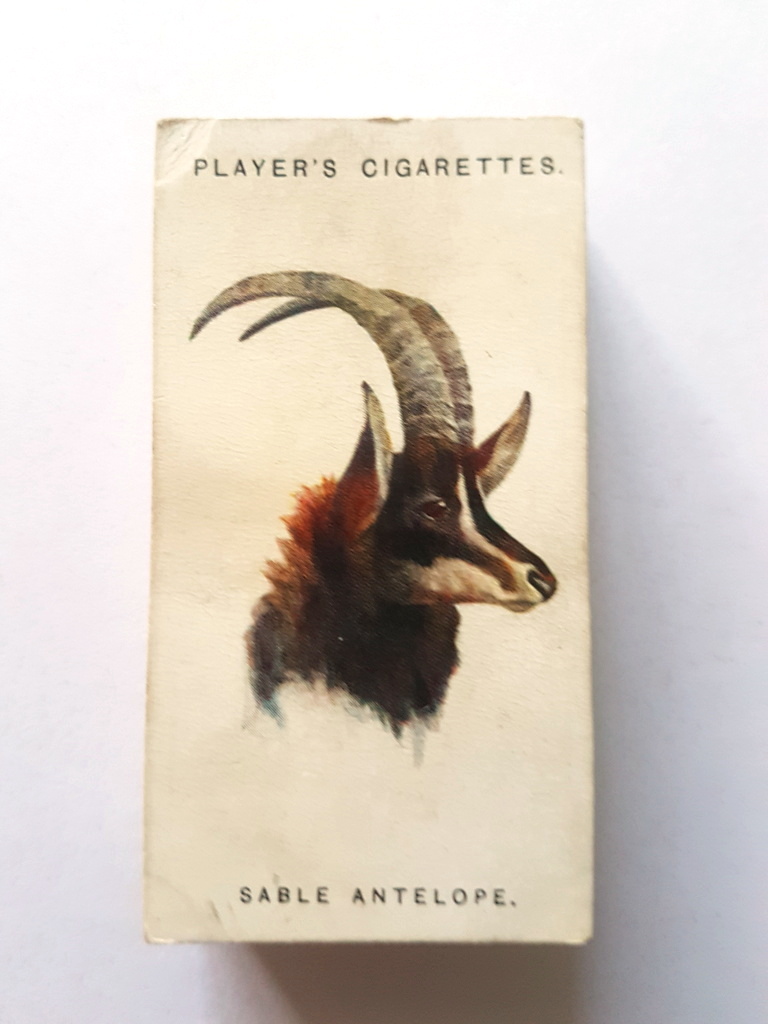 Photo of the front of these Wild Animals' Heads cigarette cards