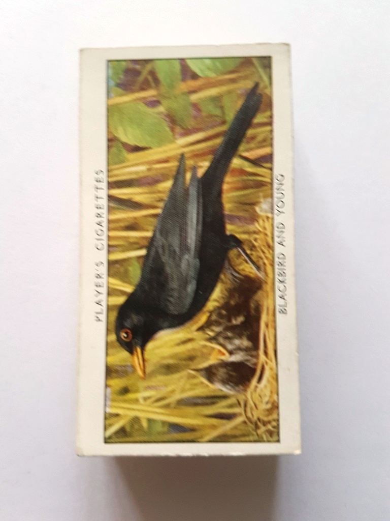 Photo of the front of these Wild Birds cigarette cards