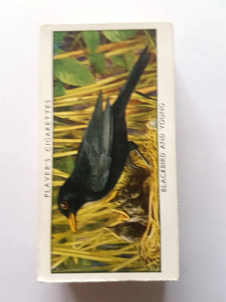 Photo of the front of these Wild Birds cigarette cards