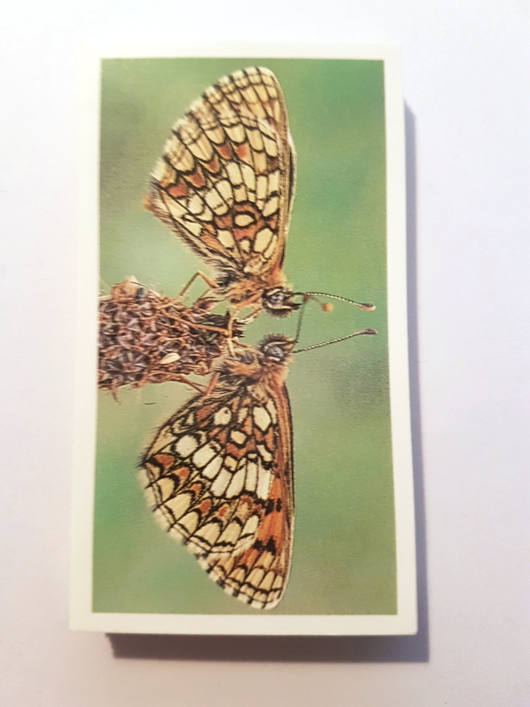 Photo of the front of these Britain's Endangered Wildlife (Grandee) cigarette cards