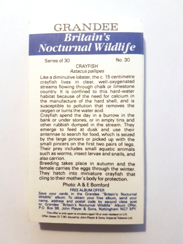 Photo of the back of these Britain's Nocturnal Wildlife (Grandee) cigarette cards