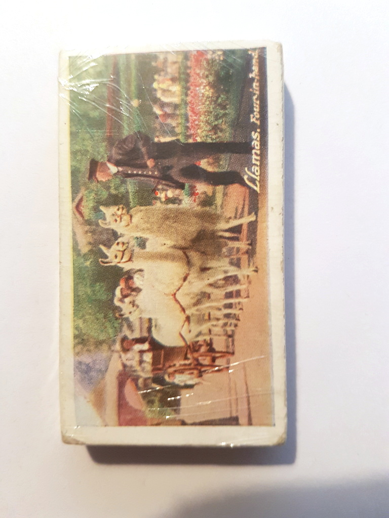 Photo of the front of these Zoo Series (green back) trade cards