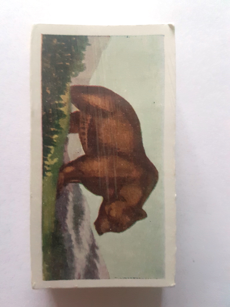 Photo of the front of these Interesting Animals trade cards