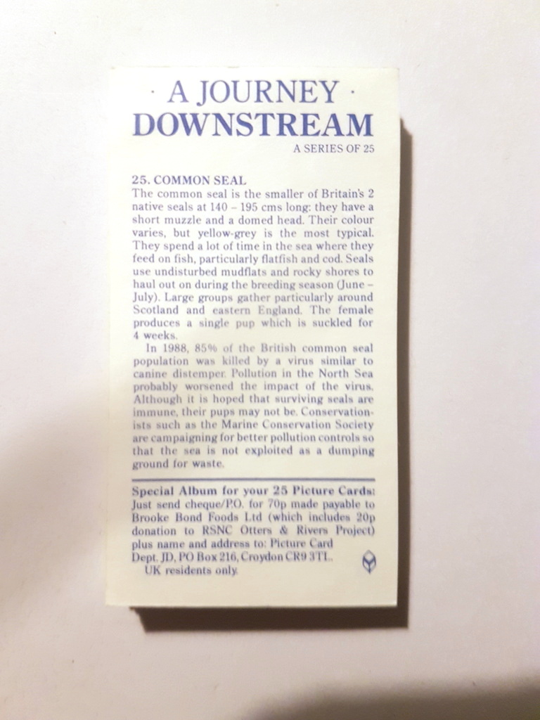 Photo of the back of these A Journey Downstream tea cards