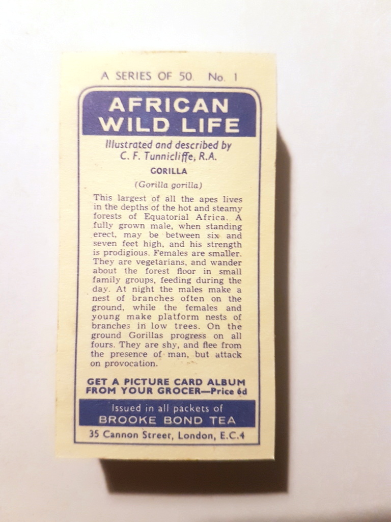 Photo of the back of these African Wild Life tea cards