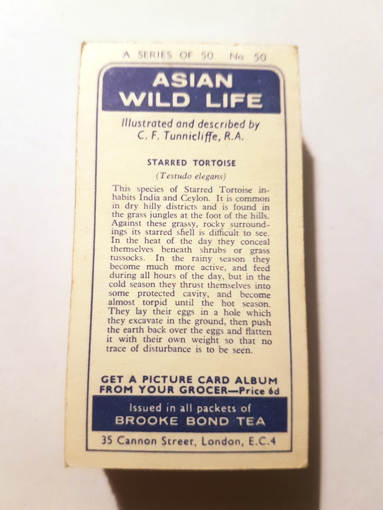 Photo of the back of these Asian Wild Life tea cards