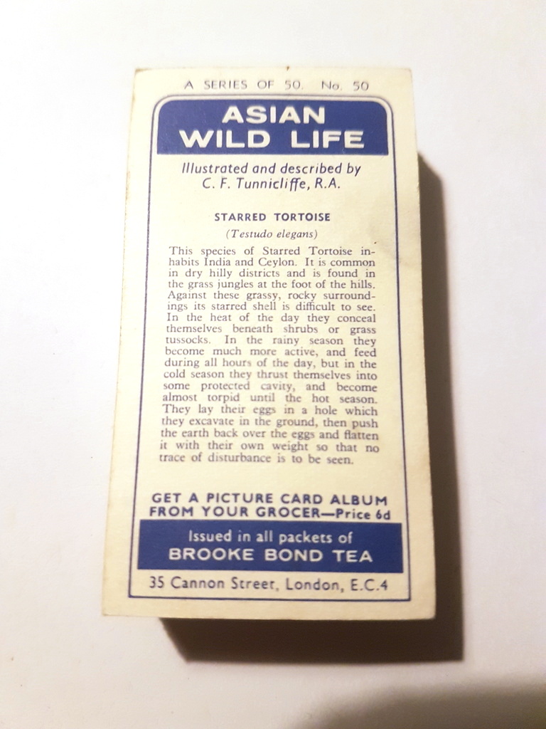 Photo of the back of these Asian Wild Life tea cards