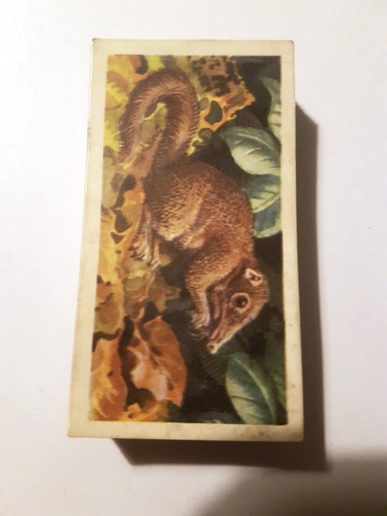 Photo of the front of these Asian Wild Life tea cards