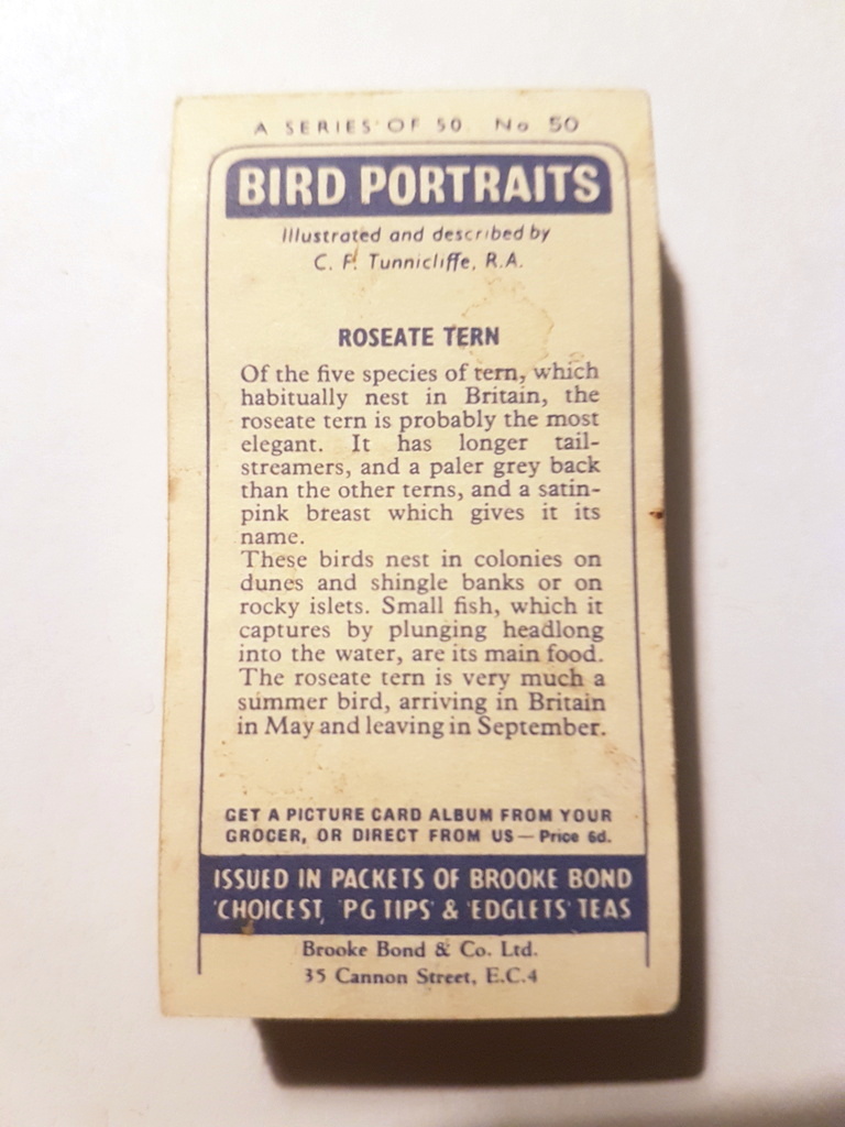 Photo of the back of these Bird Portraits (with address) tea cards