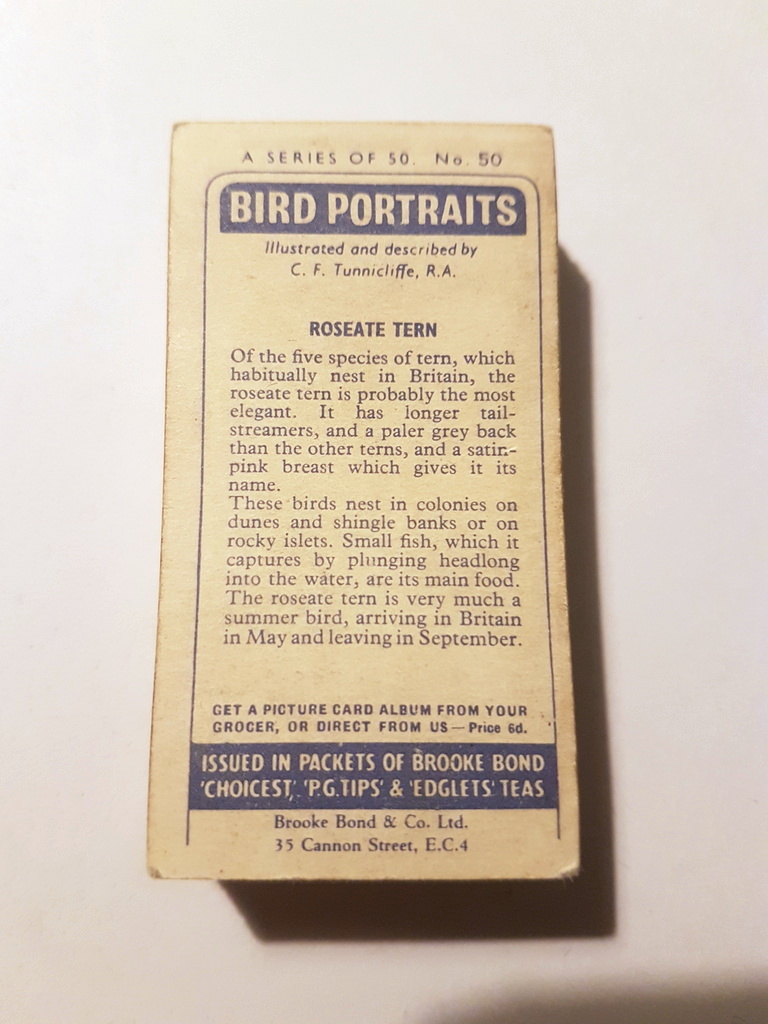 Photo of the back of these Bird Portraits (with address) tea cards