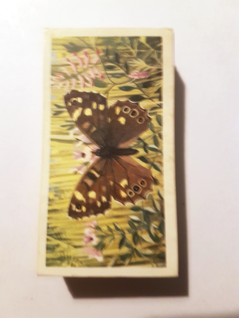 Photo of the front of these British Butterflies tea cards