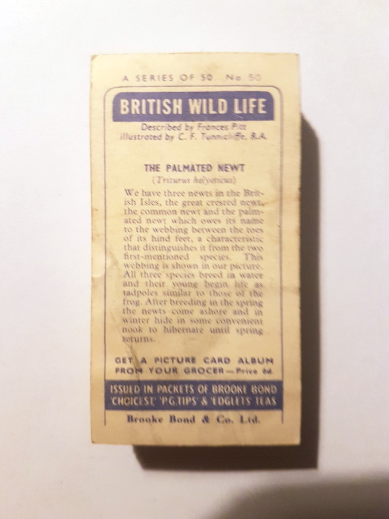 Photo of the back of these British Wild Life (misc bases) tea cards