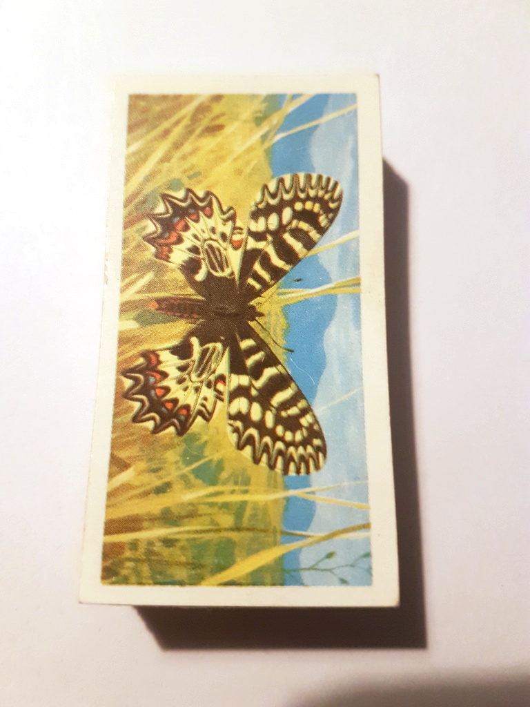 Photo of the front of these Butterflies of the World tea cards