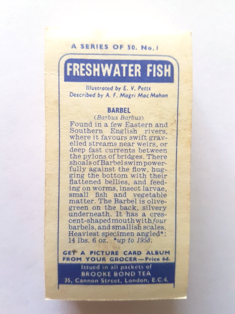 Photo of the back of these Freshwater Fish tea cards