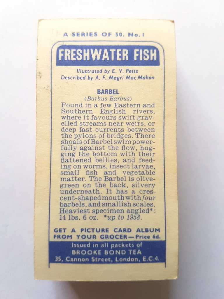 Photo of the back of these Freshwater Fish tea cards