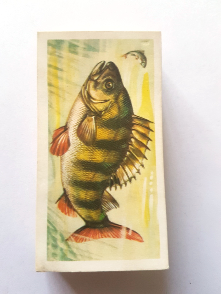 Photo of the front of these Freshwater Fish tea cards