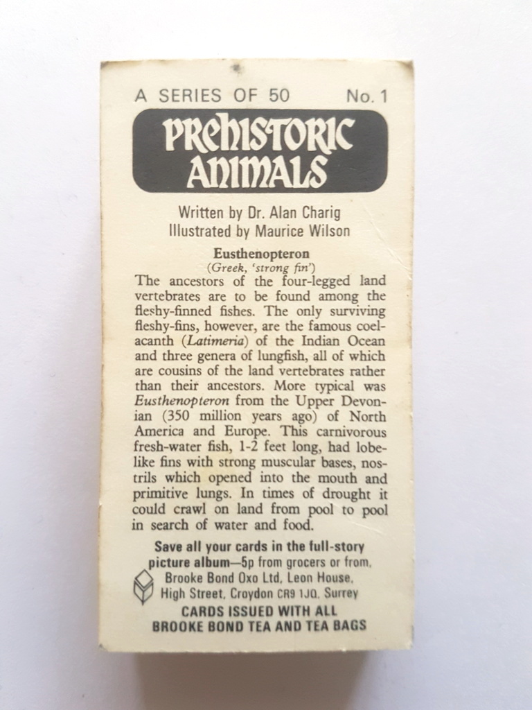 Photo of the back of these Prehistoric Animals tea cards