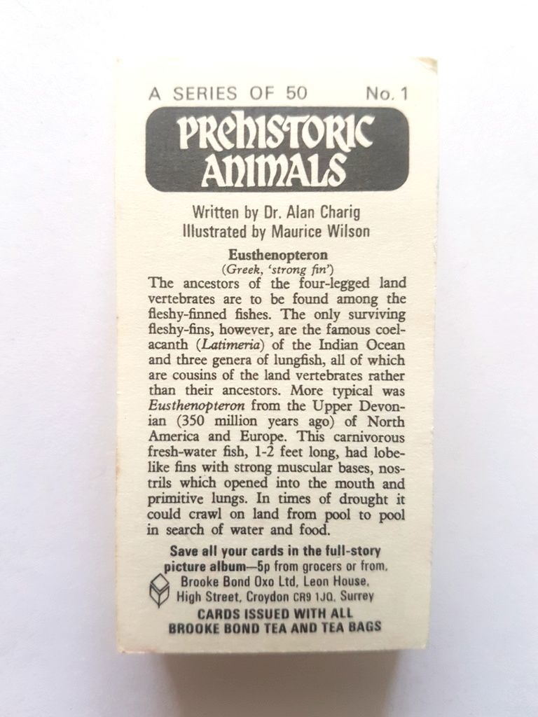 Photo of the back of these Prehistoric Animals tea cards