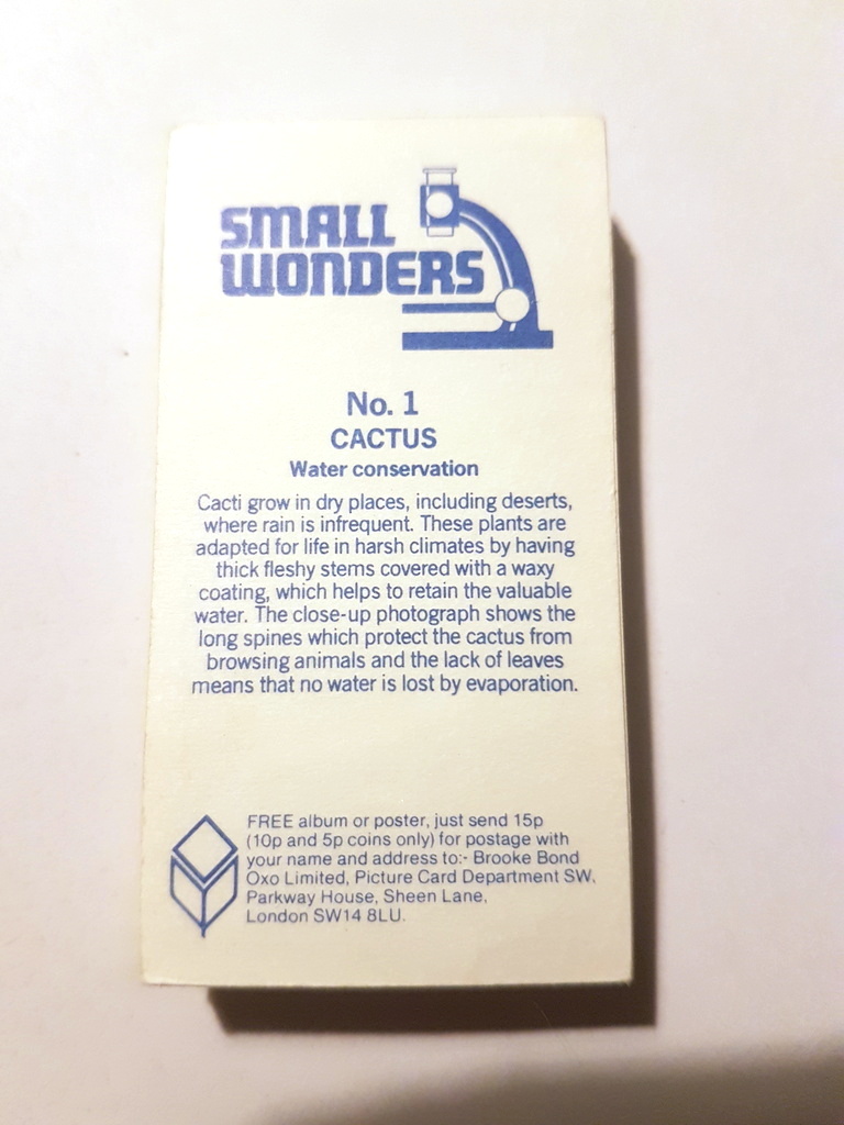 Photo of the back of these Small Wonders tea cards