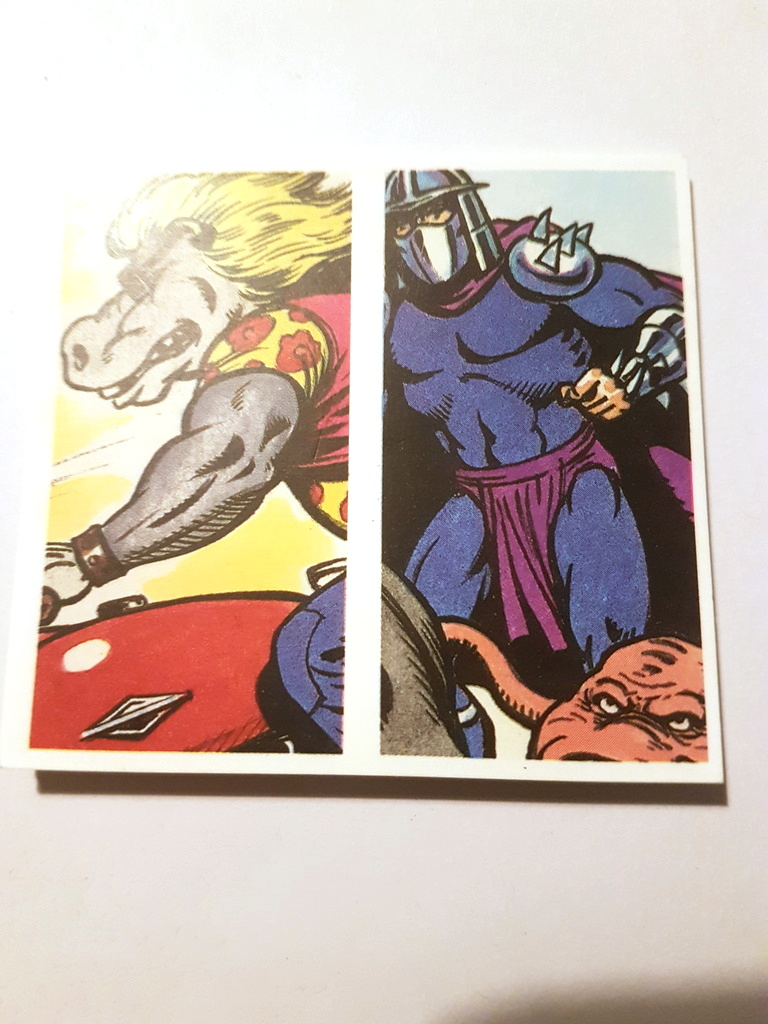 Photo of the front of these Teenage Mutant Hero Turtles (doubles) tea cards