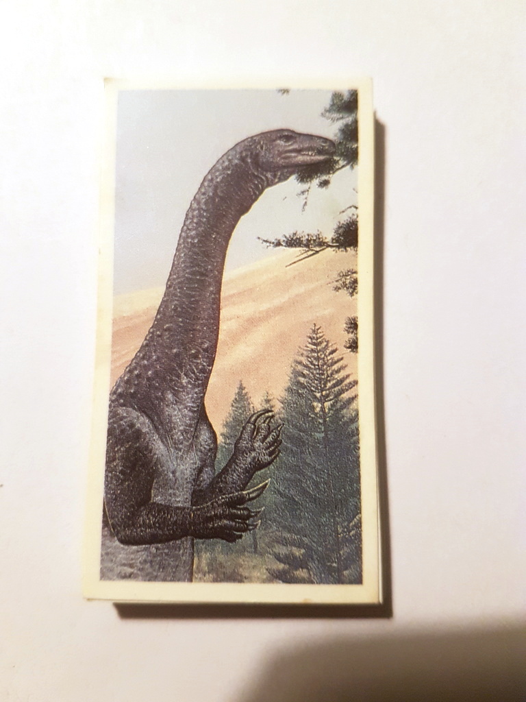 Photo of the front of these The Dinosaur Trail tea cards