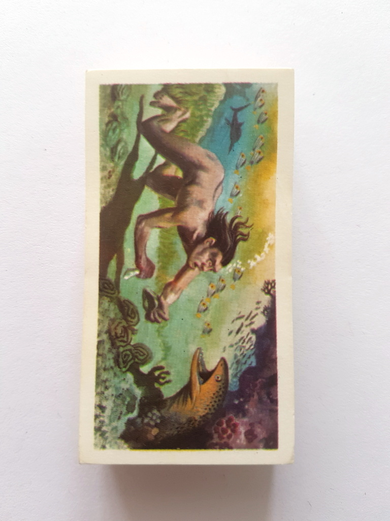 Photo of the front of these The Sea - Our Other World tea cards