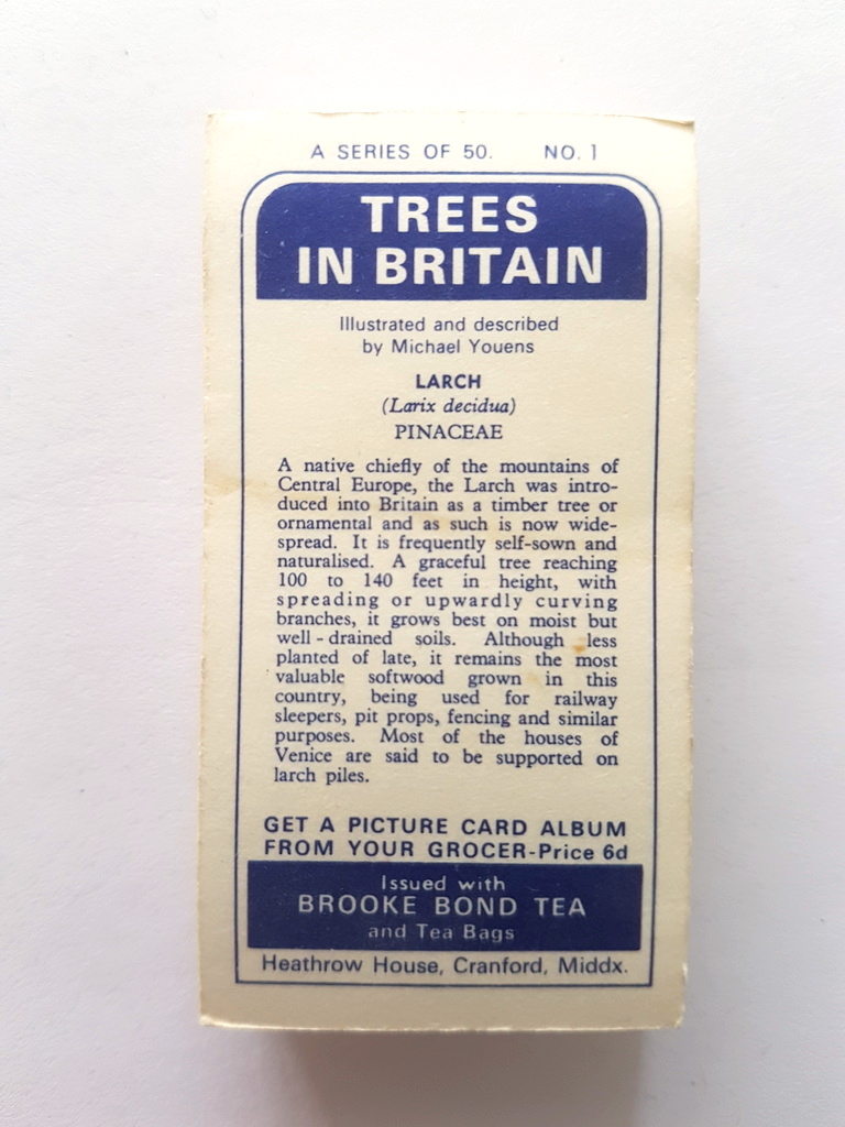 Photo of the back of these Trees in Britain tea cards