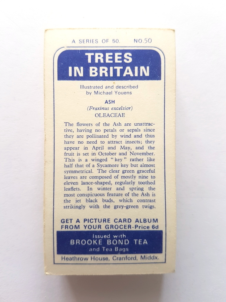 Photo of the back of these Trees in Britain tea cards