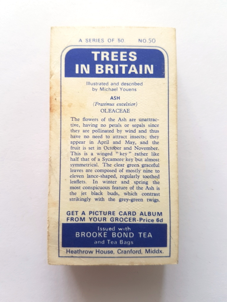 Photo of the back of these Trees in Britain tea cards