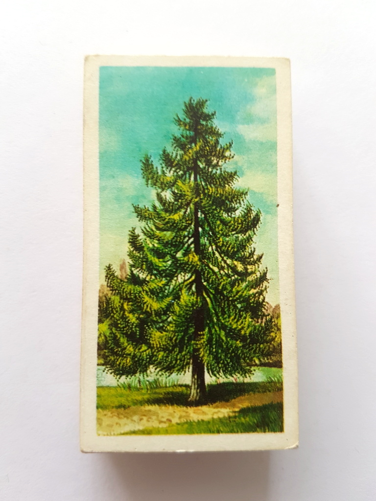 Photo of the front of these Trees in Britain tea cards