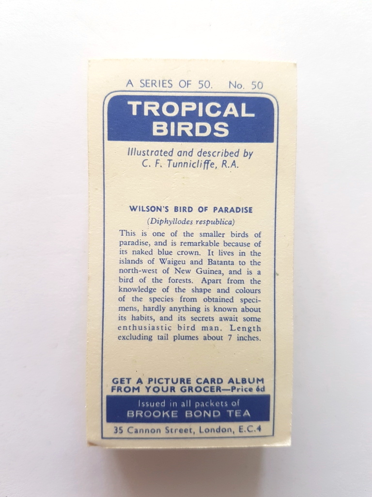 Photo of the back of these Tropical Birds tea cards