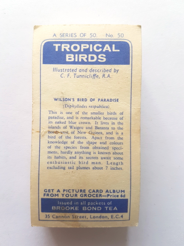 Photo of the back of these Tropical Birds tea cards