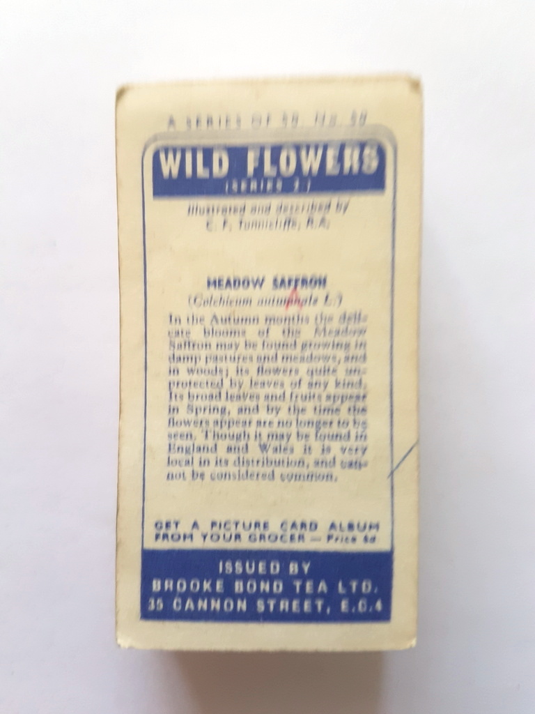 Photo of the back of these Wild Flowers (Series 2, "issued by") tea cards