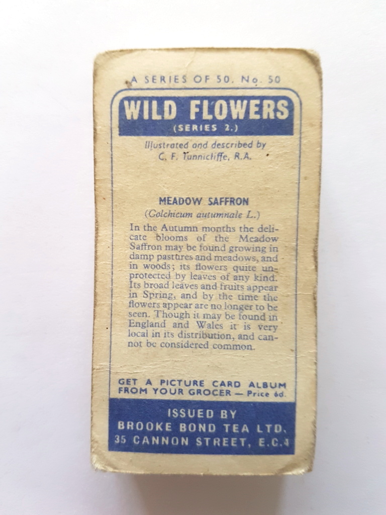 Photo of the back of these Wild Flowers (Series 2, "issued by") tea cards