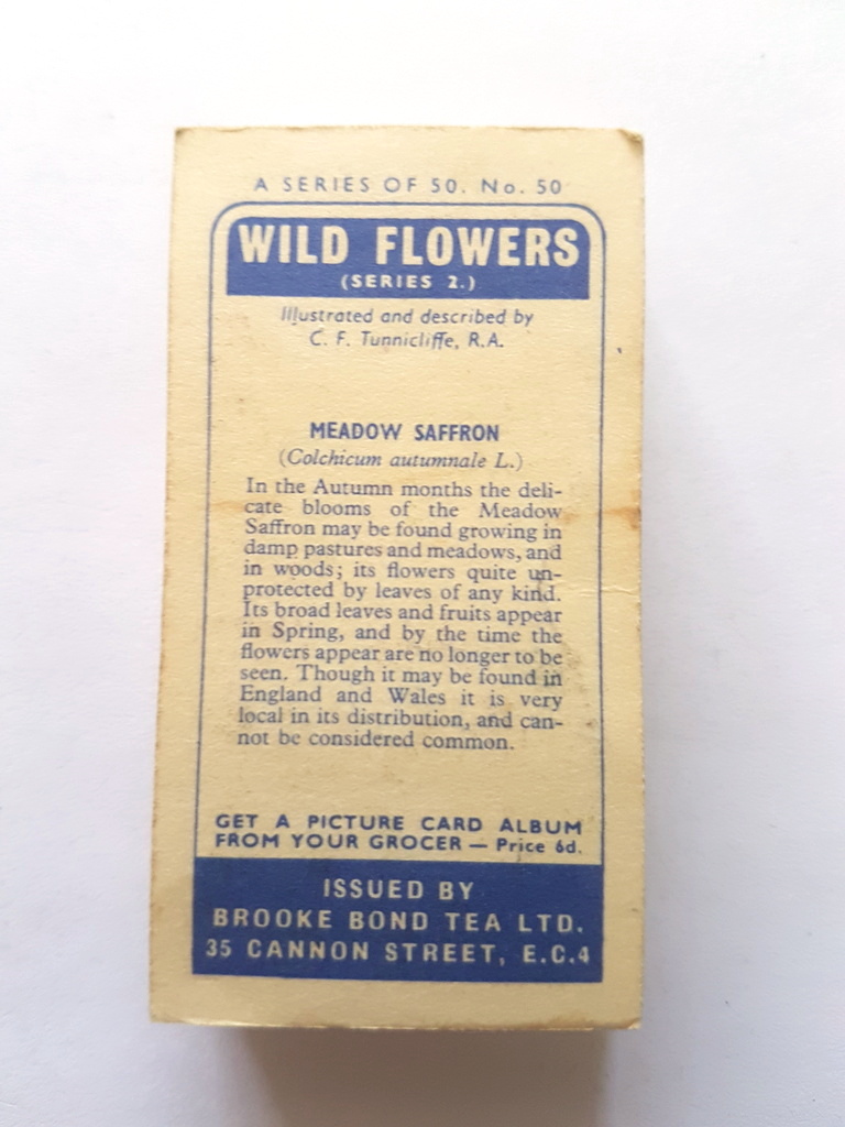 Photo of the back of these Wild Flowers (Series 2, "issued by") tea cards