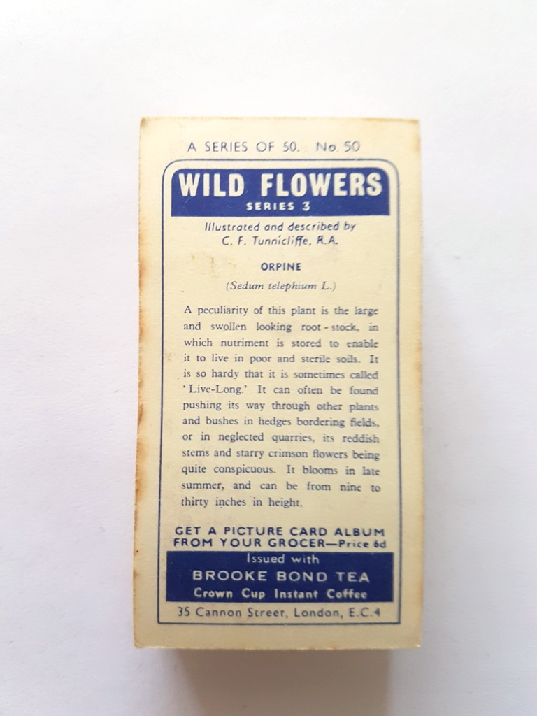 Photo of the back of these Wild Flowers (Series 3) tea cards